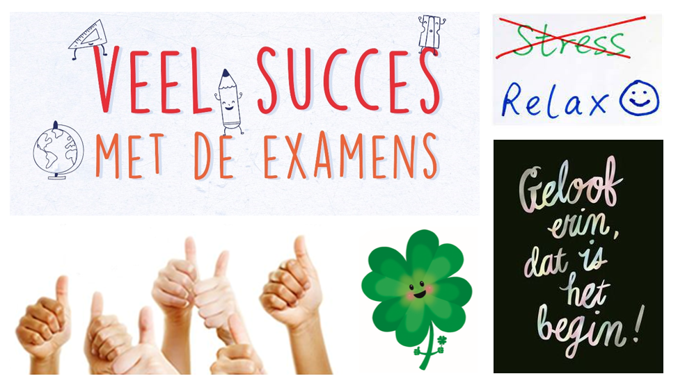 Website wijkgemeente De Open Hof